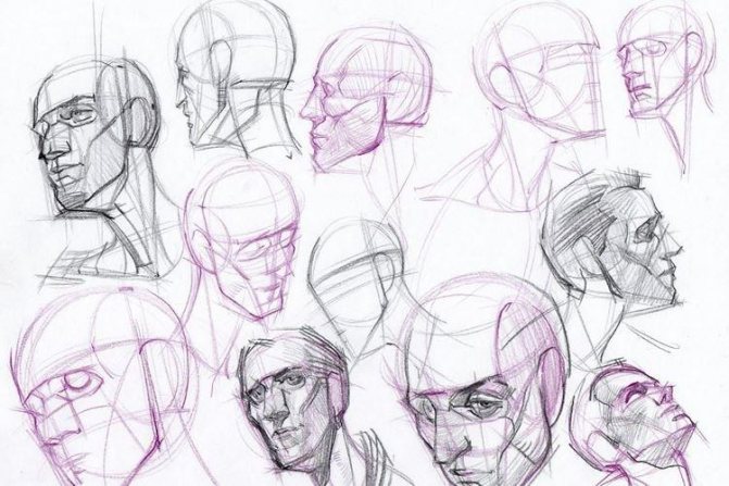Как нарисовать голову и лицо человека