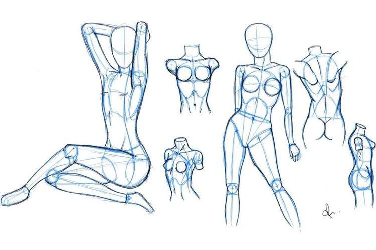 Как нарисовать тело человека
