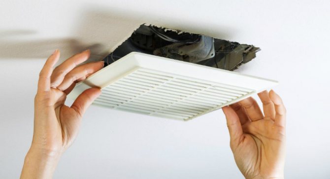 Потолочный вентилятор для вытяжки необходимо чистить чаще, чем другие модели