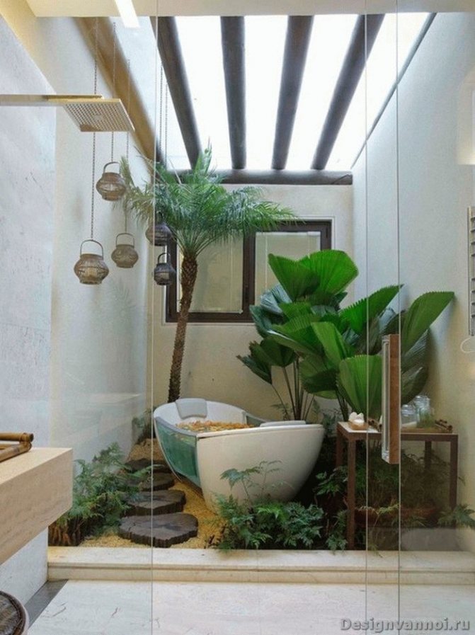 растения для ванной