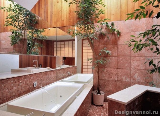 растения для ванной