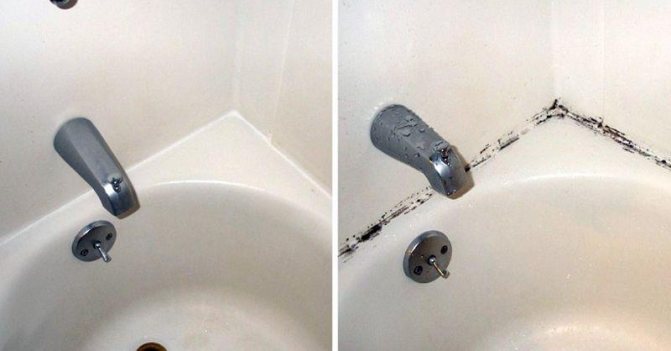 Грибок в ванной комнате – как избавится?