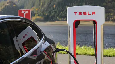 Четверо друзей-индийцев заживо сгорели в автомобиле Tesla в Канаде